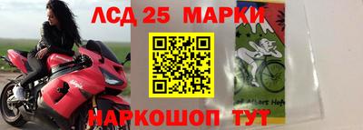 спайс Кулебаки